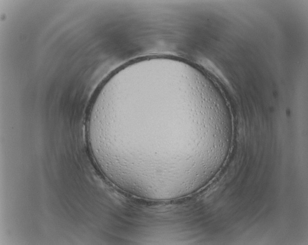 X0000073931268200609082254