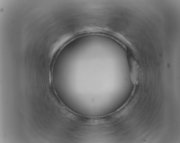 X0000073931269200609082254