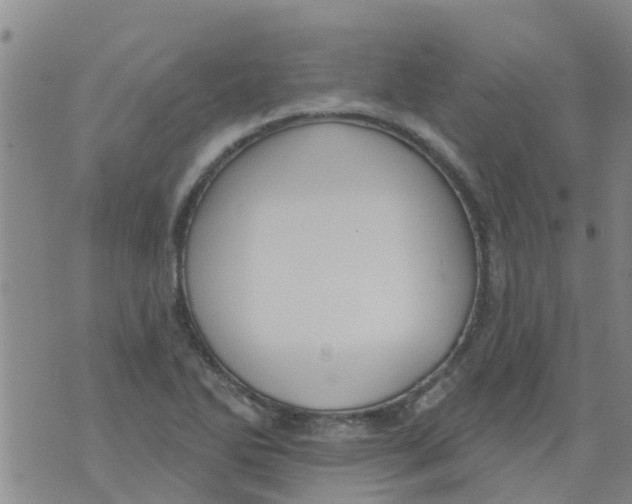 X0000073931270200609082254