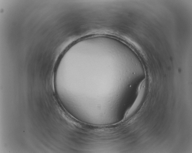 X0000073931272200609082254