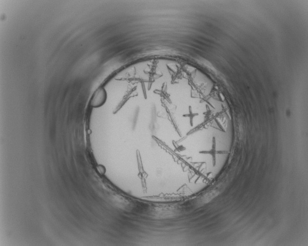 X0000073931274200609082254