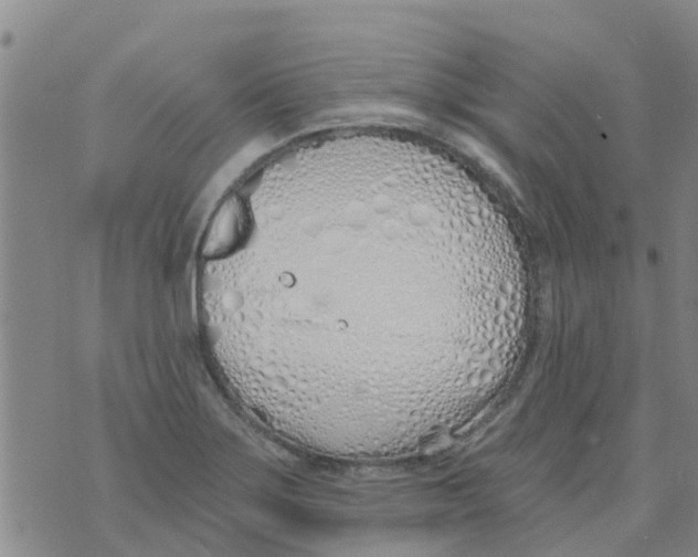 X0000073931275200609082254