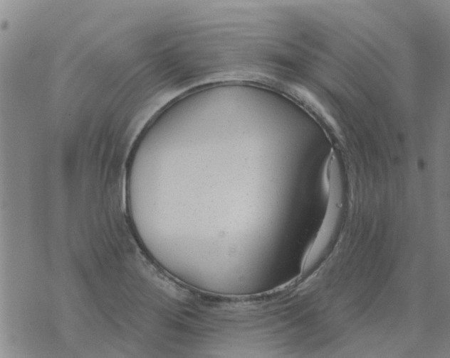 X0000073931276200609082254