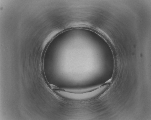 X0000073931277200609082254