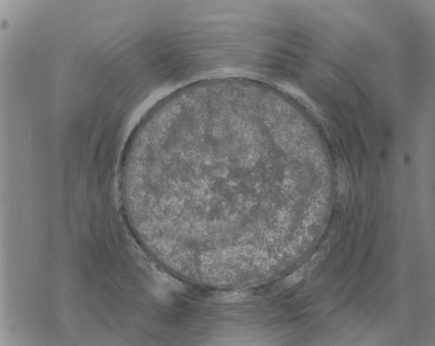 X0000073931278200609082254