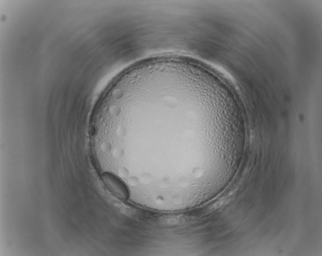 X0000073931279200609082254