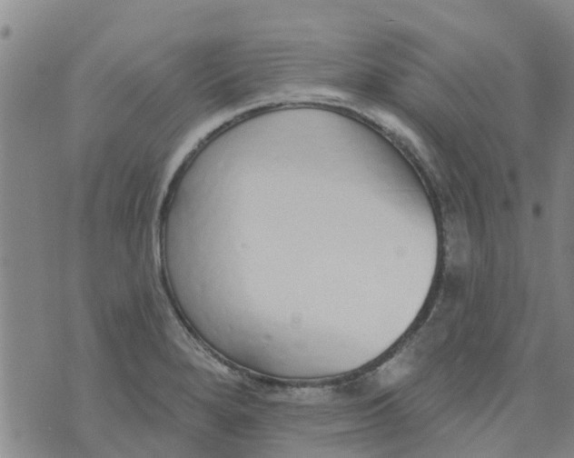 X0000073931280200609082254