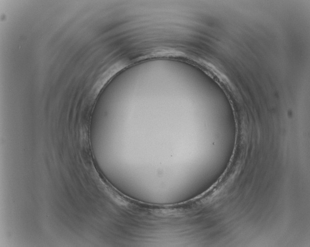 X0000073931281200609082254