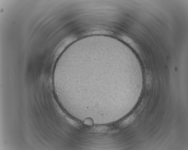 X0000073931282200609082254