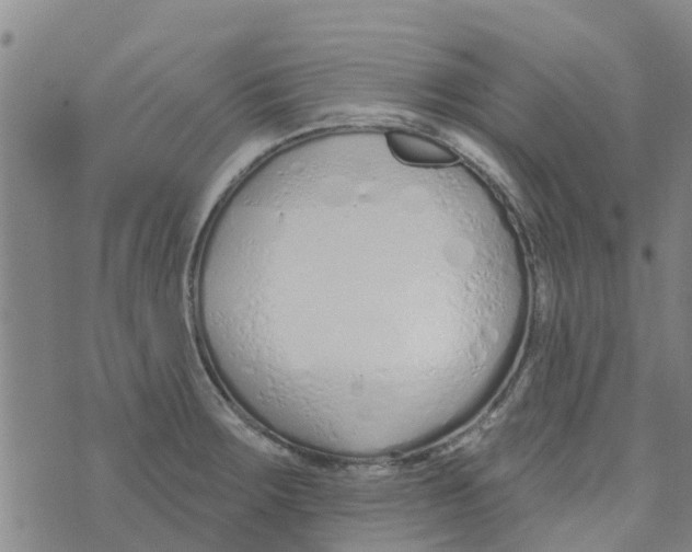 X0000073931283200609082254