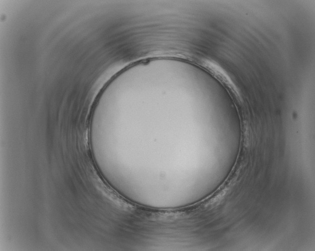 X0000073931284200609082254