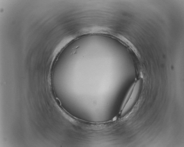 X0000073931285200609082253