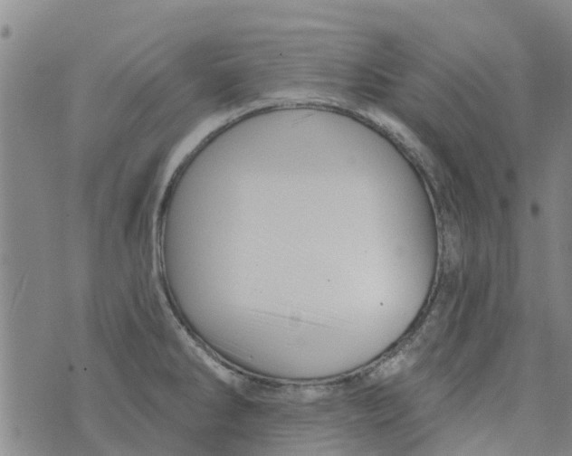 X0000073931286200609082253