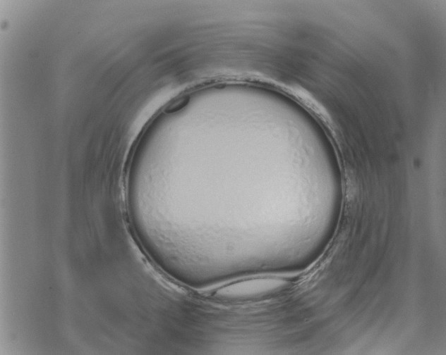 X0000073931287200609082253