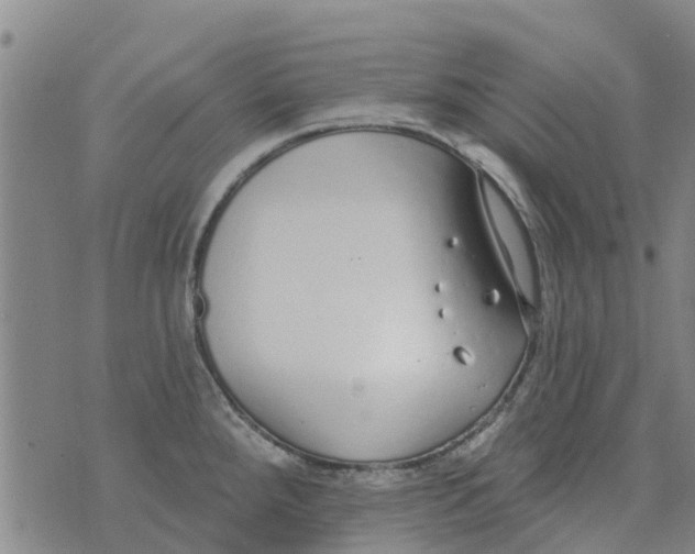 X0000073931288200609082253