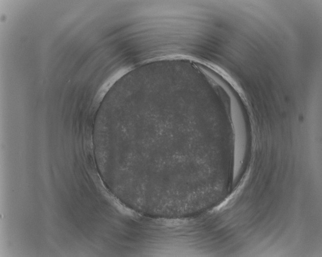 X0000073931289200609082253