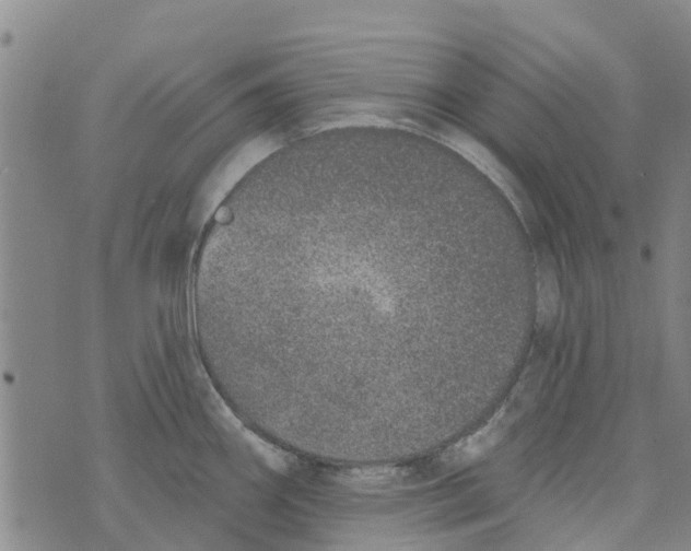 X0000073931290200609082253