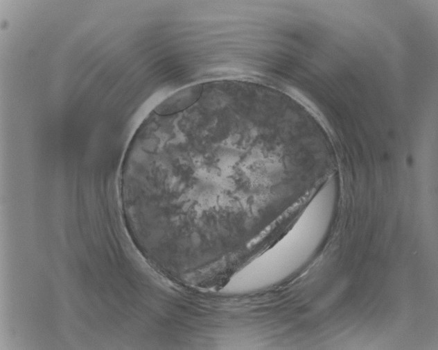 X0000073931291200609082253