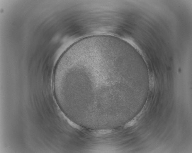 X0000073931294200609082253