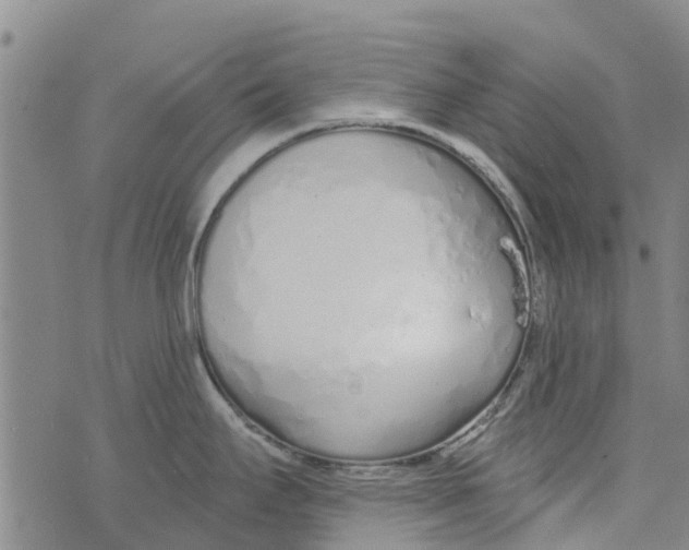 X0000073931295200609082253