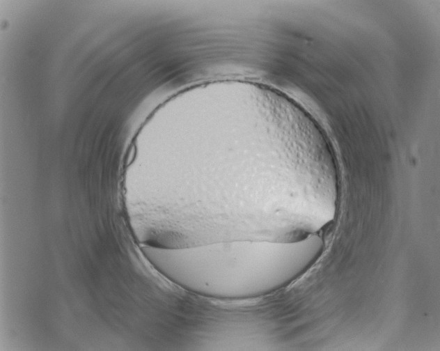 X0000073931296200609082253