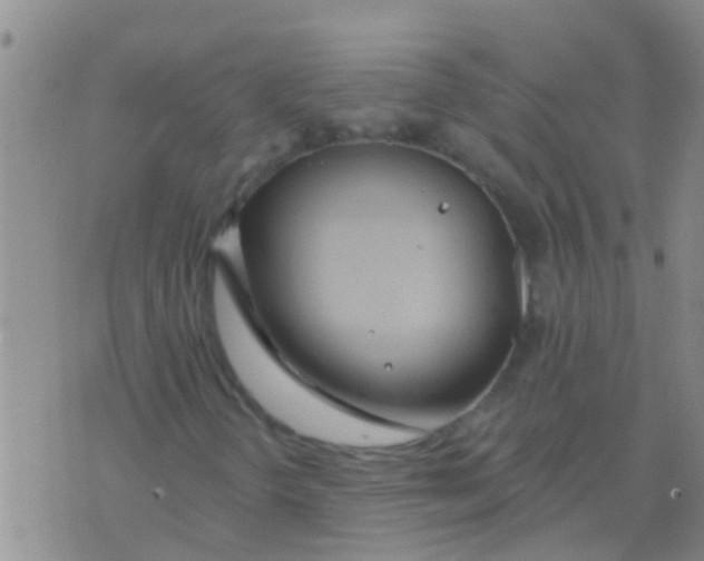 X0000073931298200609082253