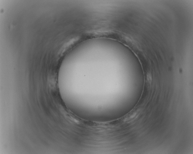 X0000073931300200609082253