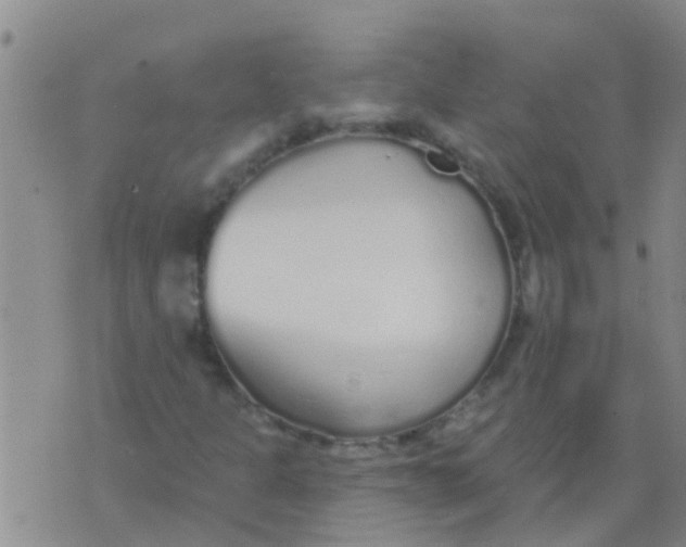 X0000073931301200609082253