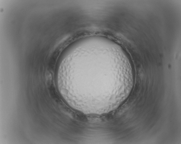 X0000073931302200609082253