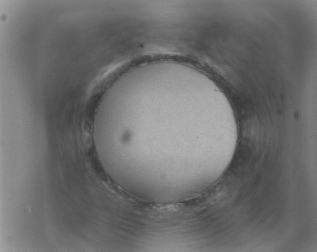 X0000073931303200609082253