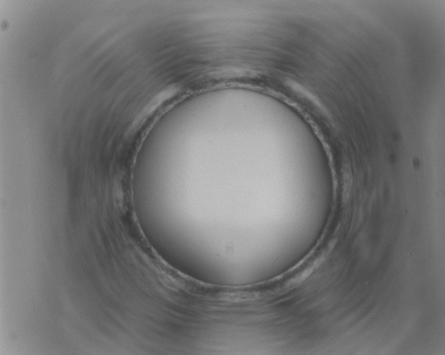 X0000073931305200609082253