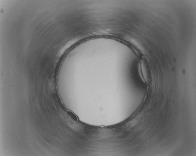 X0000073931308200609082253