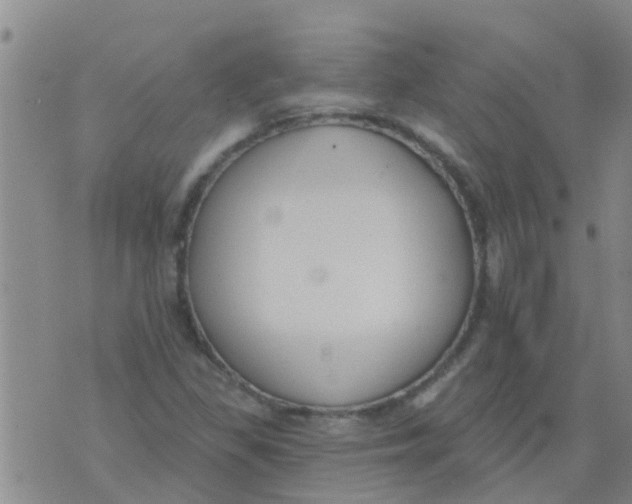 X0000073931309200609082253