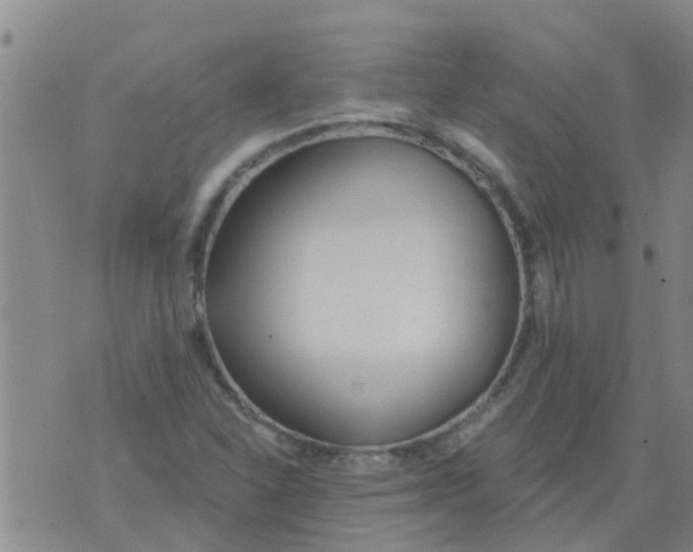 X0000073931310200609082253