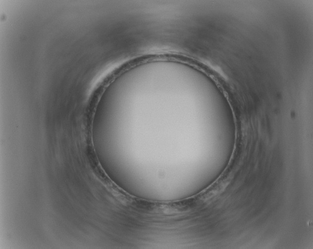 X0000073931311200609082253