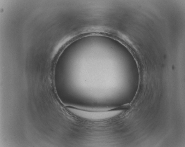 X0000073931312200609082253