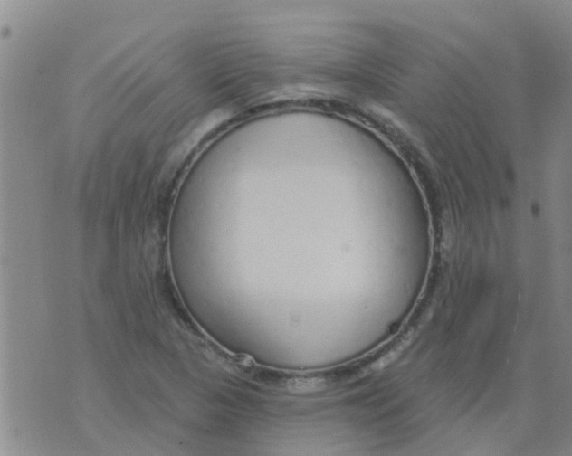 X0000073931313200609082253