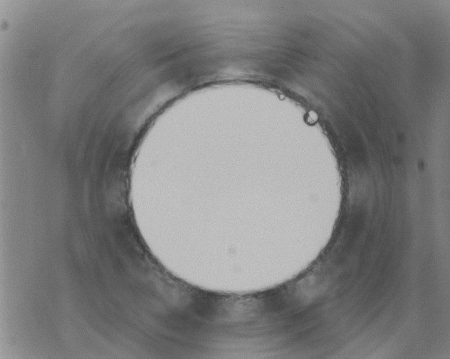 X0000073931314200609082253