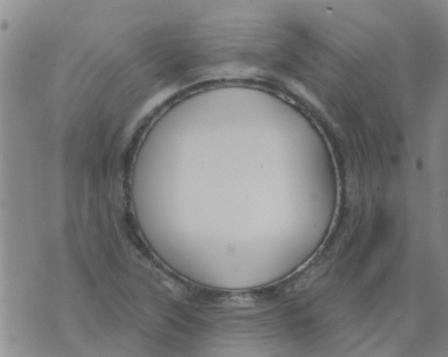 X0000073931315200609082253