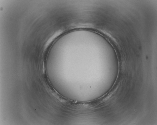 X0000073931317200609082253