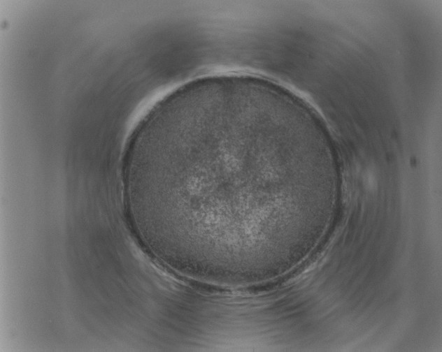 X0000073931319200609082253