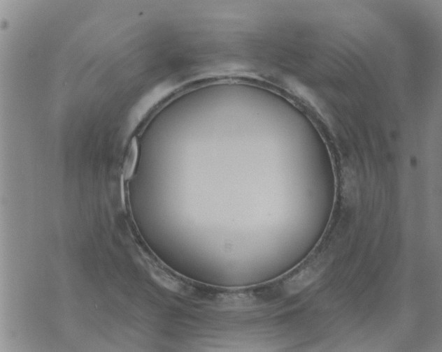 X0000073931320200609082253