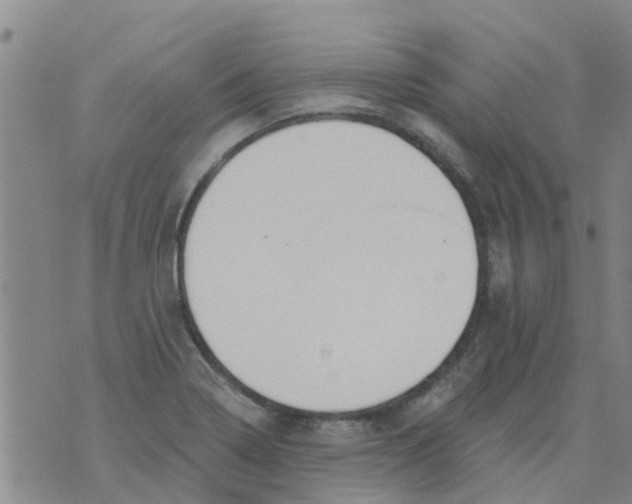 X0000073931322200609082253