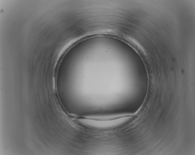 X0000073931324200609082253