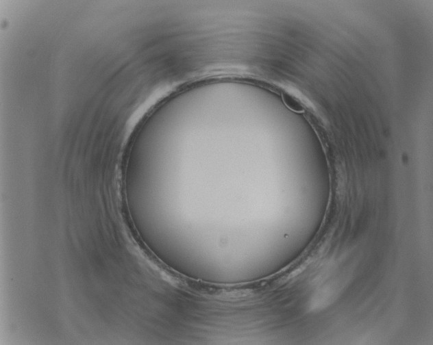 X0000073931325200609082253