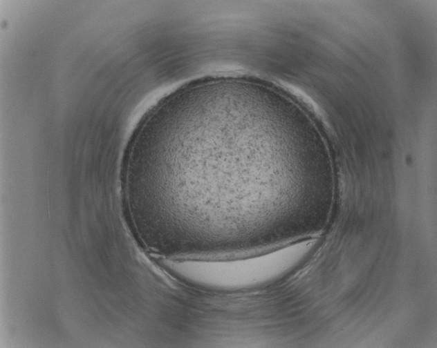 X0000073931327200609082253