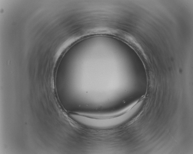 X0000073931328200609082253