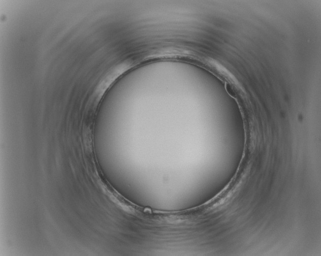 X0000073931329200609082253