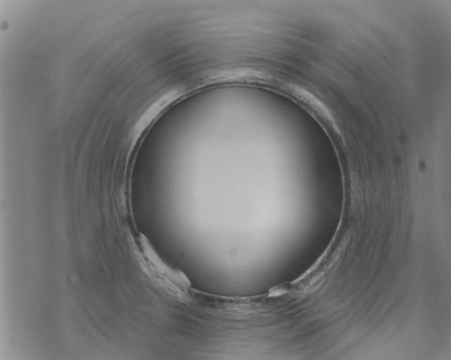 X0000073931330200609082253