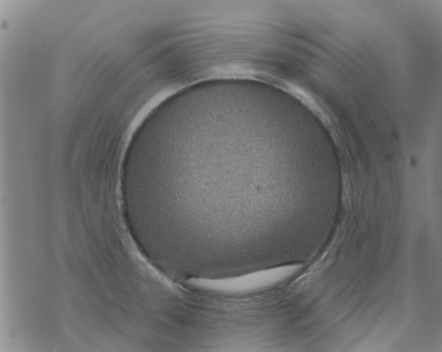 X0000073931331200609082253